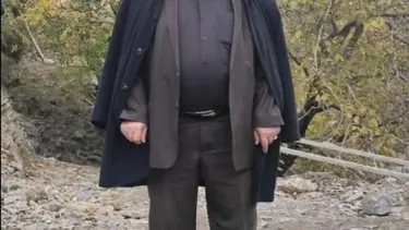 Eski muhtarın talihsiz sonu: Ceviz silkelerken ağaçtan düştü