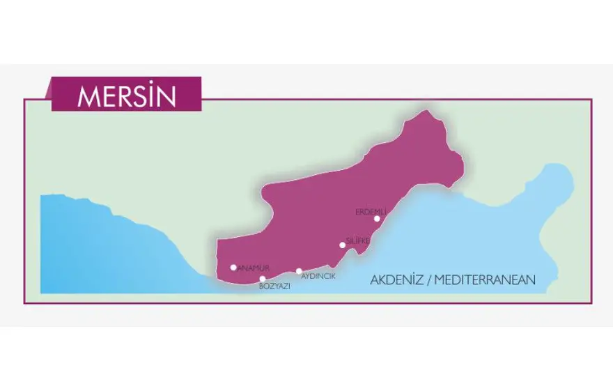 Türkiye'nin mavi bayraklı plajları: 2024 yılı güncel listesi (En iyi sahiller ve plajlar) 61 Türkiye'nin mavi bayraklı plajları: 2024 yılı güncel listesi (En iyi sahiller ve plajlar) 61