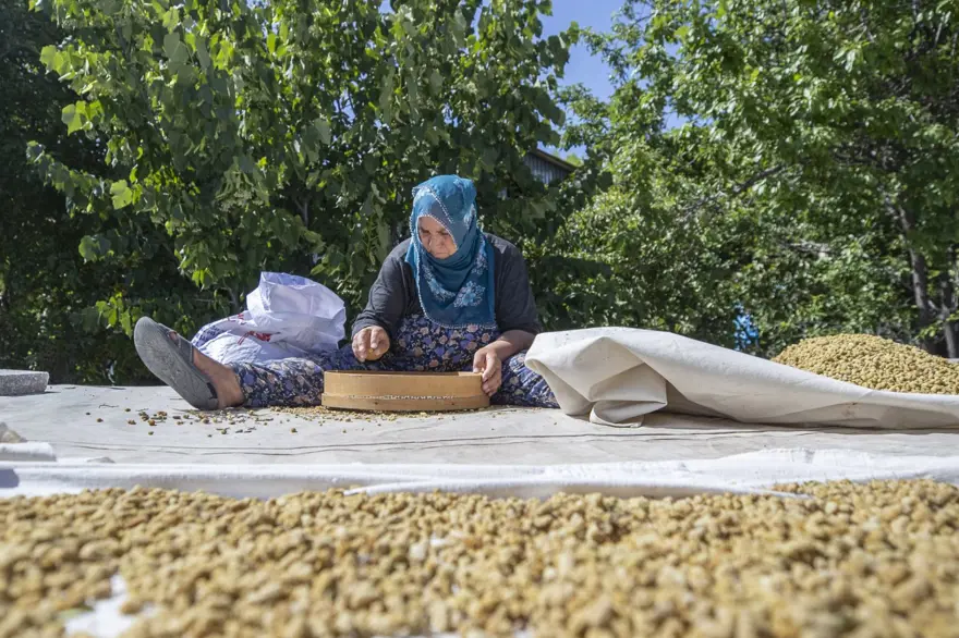 Coğrafi işaretli "Ulukale Dutu" geçim kaynağı oldu! Güneşin karşısında kurutuluyor, elekten geçirilerek hazırlanıyor 24