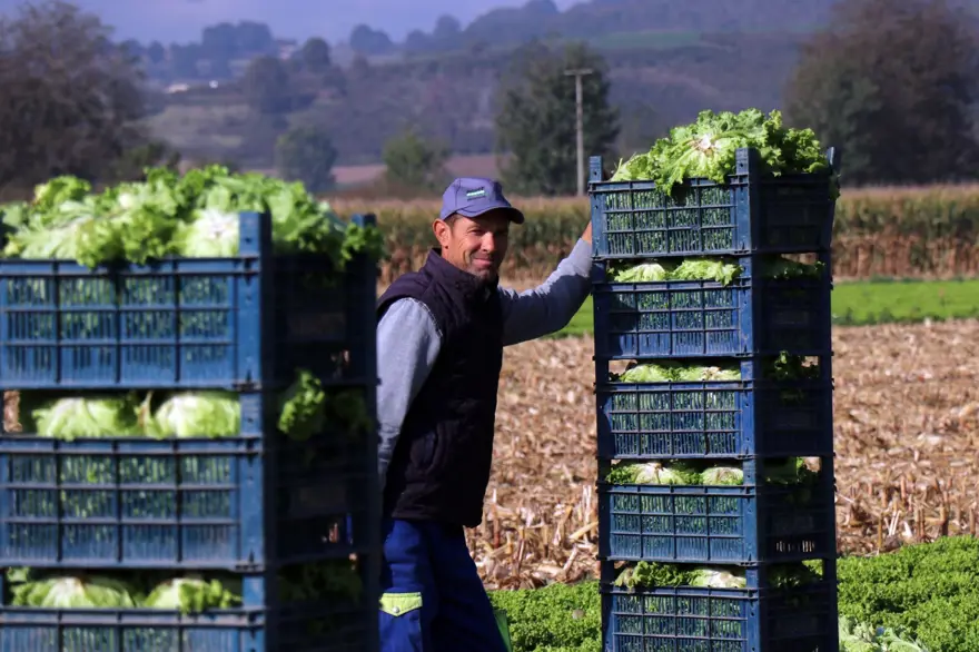"YARIN BUNLARI DA ARAYACAKLAR" 5
