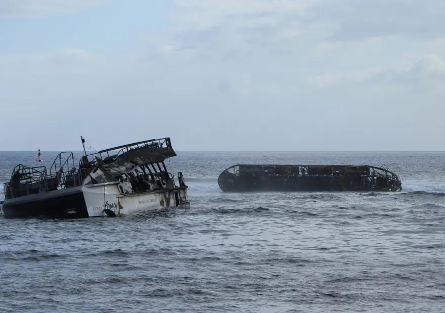 Hawaii'de devam eden orman yangınlarında ölenlerin sayısı 80'e çıktı 3