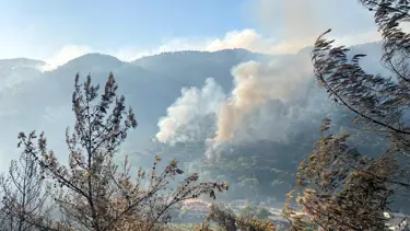 Marmaris'teki yangında ikinci gün: Müdahale sürüyor