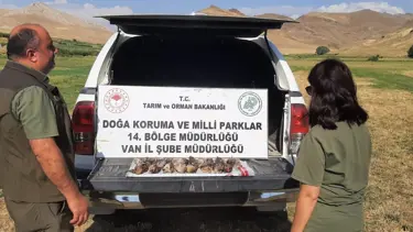 Üç avcıya 57 bin lira ceza