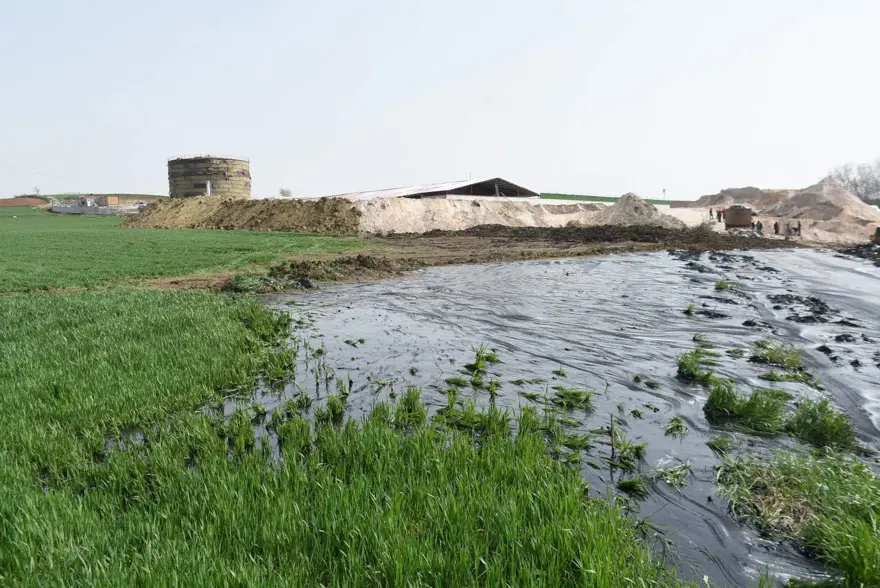 Edirne'de zift dolu havuzun patladığı şantiyenin faaliyetleri durduruldu 16