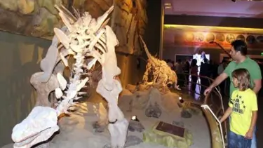 Jurassic Land'den eğitime destek