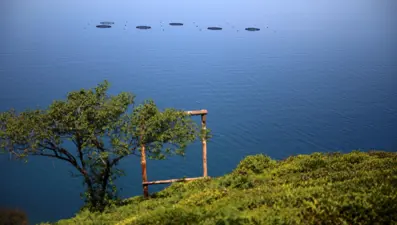 Rizeliler, uzaya çay gönderecek