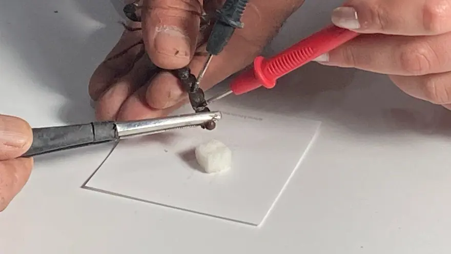 "BAŞTA KORKTUM, SONRA ALIŞTIM" 2