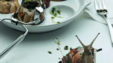 Harçlıklarını salyangozdan çıkarıyorlar