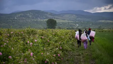 Avrupa'nın en az yaşayanları Bulgarlar