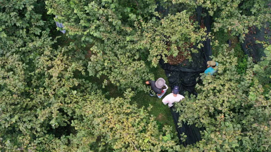 "ÇOK MEYİLLİ ARAZİLER DE FİLEYLE ÖRTÜLEBİLİYOR" 2