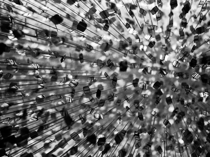 Fayetteville Gazi Parkı 21 Fayetteville Gazi Parkı 21