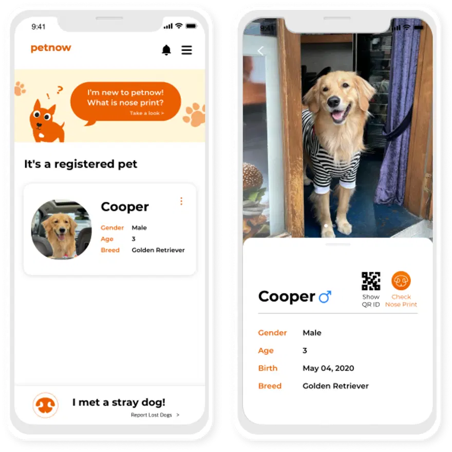 Köpekleri benzersiz burun izlerinden tanıyabilen mobil uygulama geliştirildi 1 Köpekleri benzersiz burun izlerinden tanıyabilen mobil uygulama geliştirildi 1