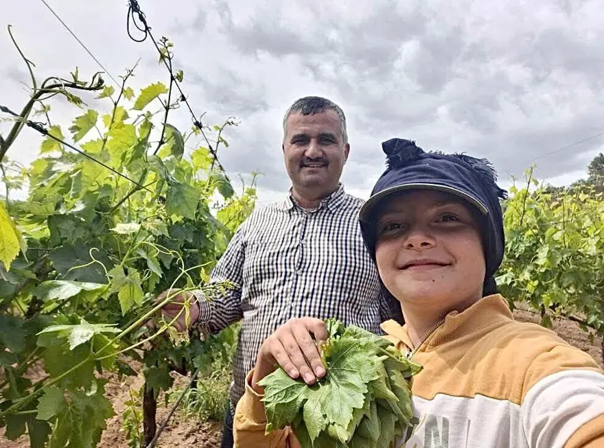 "MAYIS YAPRAĞI EKŞİLİĞİYLE GÜZEL OLUR" 1