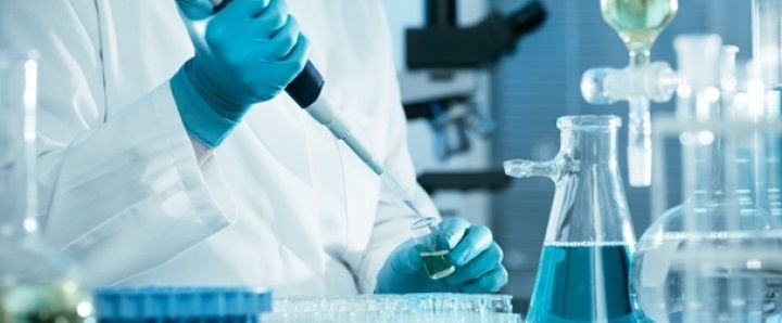 Türk bilim insanları kök hücreyle organ üretmeyi hedefliyor