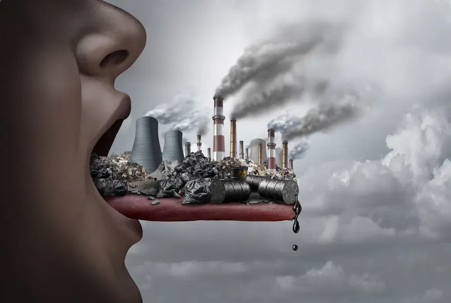 Kısırlık ve kanser yapıyor: Ünlü fast food markalarının ürünlerinin çoğunda zehirli kimyasallar bulundu 6