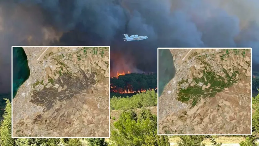 Çanakkale orman yangını: İki büyük felaketin zararı uydudan görüntülendi 