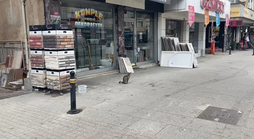 Maltepe’de silahlı saldırı | Eşini vurmaması için saldırganadakikalarca yalvardı 5 Maltepe’de silahlı saldırı | Eşini vurmaması için saldırganadakikalarca yalvardı 5