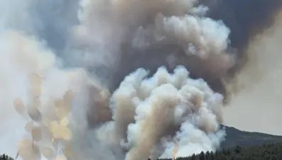 Yedi şehirde orman yangını: Sakarya'daki yangın büyüdü, Bilecik'e sıçradı