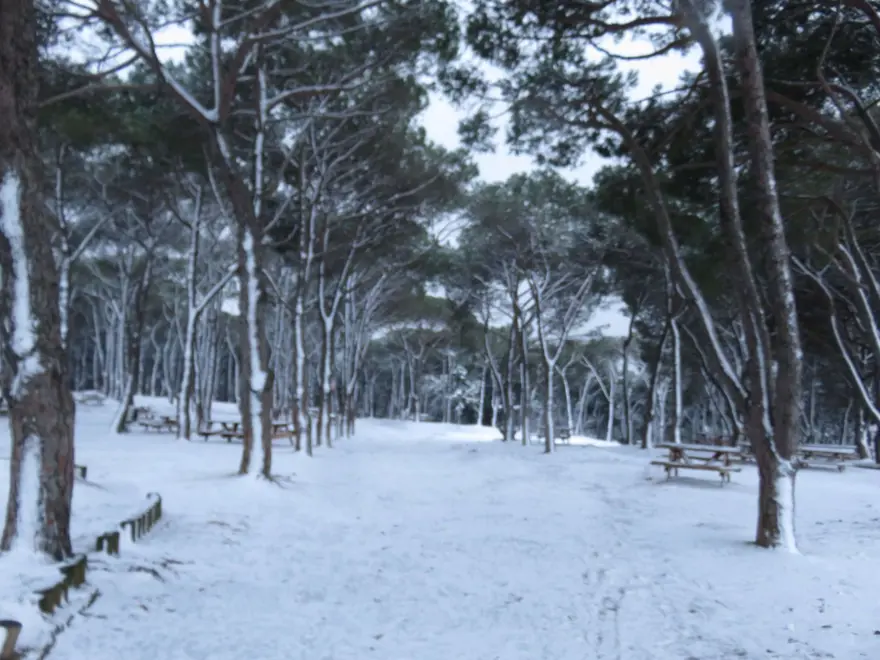 İstanbul'dan kar fotoğrafları 24