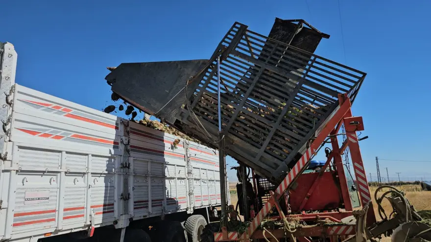 En önemli geçim kaynaklarından biri: Sabah saatlerinde sökümü başladı 2