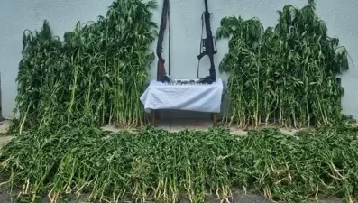 İklimlendirme sistemiyle uyuşturucu üretenlere gözaltı