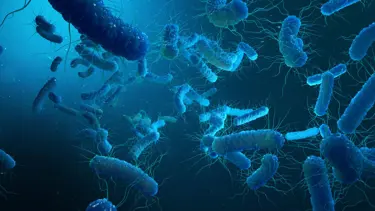 Uzayda yaşayan bakteriler evrimleşiyor: Aşırı koşullara uyum sağlamaya başladılar!