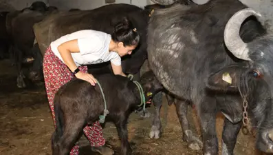 İşinden istifa etti, 3 yıl önce köyüne döndü: Şimdi taleplere yetişemiyor