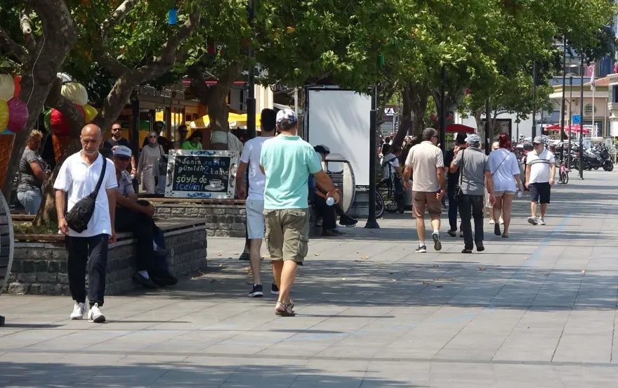 Türkiye “Aedes Aegypti” tehdidi altında | “Viralhastalıklar artabilir” uyarısı 4