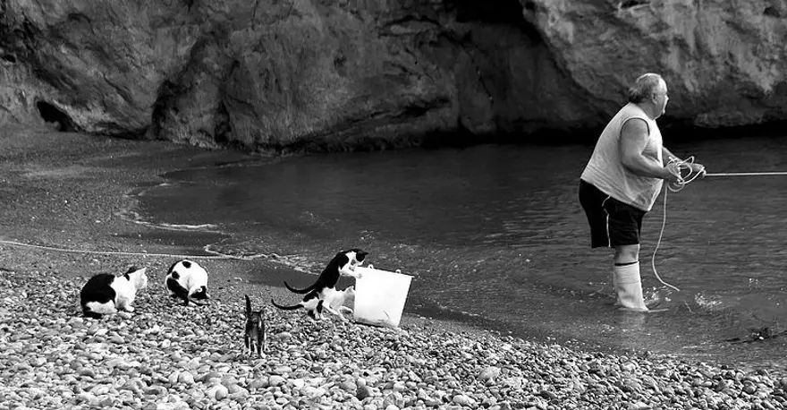 İnternetin yeni fenomenleri 101