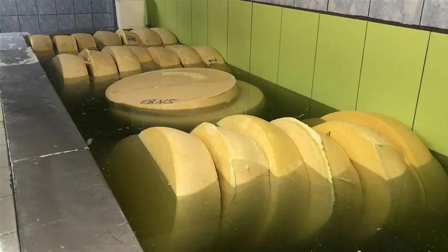 Kars'ta dünyaca ünlü gravyer peynirinin üretimine başlandı 3