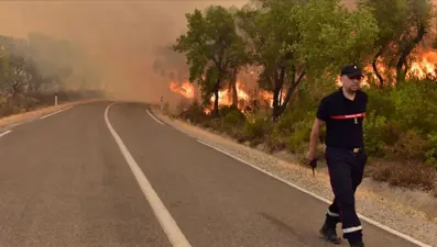 Fas'ın kuzeyindeki orman yangınları 5 gündür söndürülemiyor