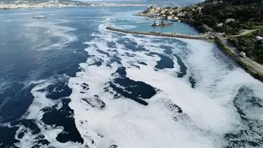 Müsilaj düzenlemesi kabul edildi