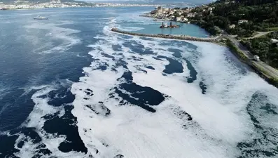 Müsilaj düzenlemesi kabul edildi