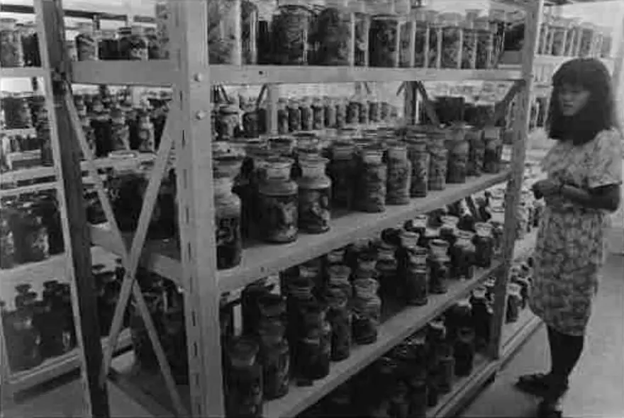 İnsanlığın kaybettiği yer: Hiroşima 15 İnsanlığın kaybettiği yer: Hiroşima 15