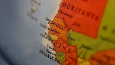 Senegal'de cumhurbaşkanlığı seçiminde 20 aday yarışacak