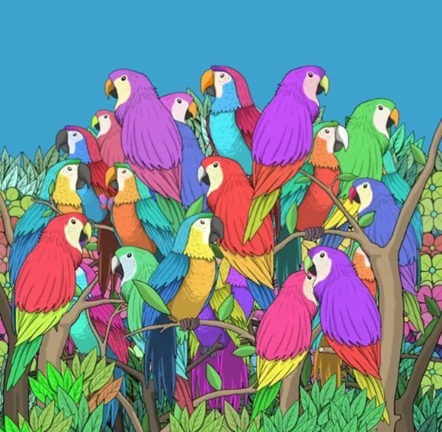 Kafa karıştıran zeka sorusu sosyal medyada gündem oldu: İnsanların yüzde 90'ı çözemiyor! 29 Kafa karıştıran zeka sorusu sosyal medyada gündem oldu: İnsanların yüzde 90'ı çözemiyor! 29