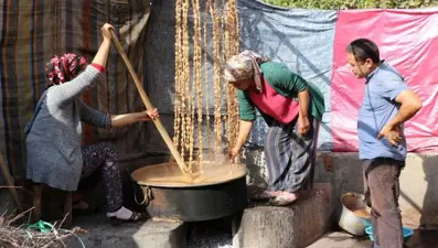 Diyarbakır'da binlerce yıllık bağ bozumu geleneği başladı