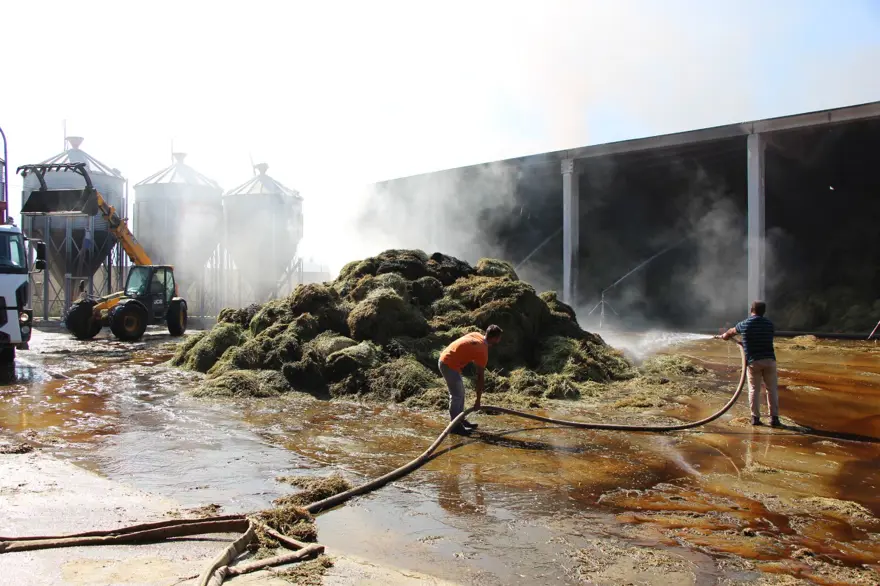 Amasya'da çiftlikte korkutan yangın 7