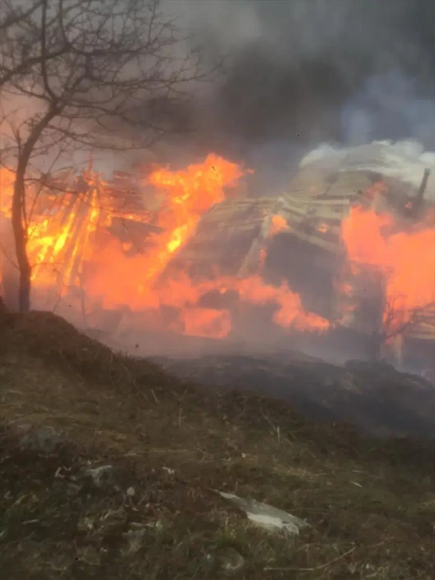 Rize'de Gölyayla köyünde çıkan yangına müdahale devam ediyor: 9 ev zarar gördü 3