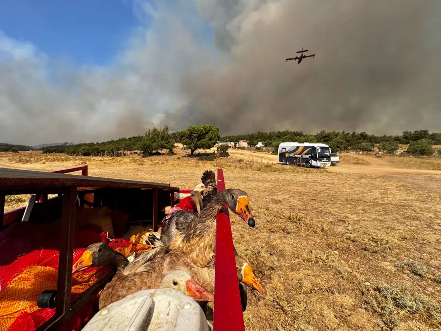 BAKAN YUMAKLI: 34’Ü ORMAN 14’Ü KIRSAL ALAN OLMAK ÜZERE 48 YANGINA MÜDAHALE EDİLDİ 6 BAKAN YUMAKLI: 34’Ü ORMAN 14’Ü KIRSAL ALAN OLMAK ÜZERE 48 YANGINA MÜDAHALE EDİLDİ 6