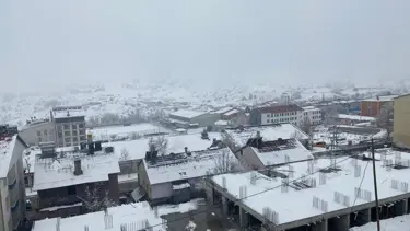 Tunceli'de kuduz karantinası