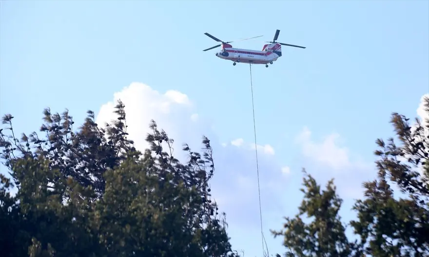 Çanakkale'deki orman yangını kontrol altına alındı 10