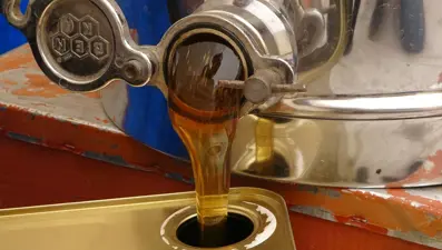 Petekler doldu, taştı: Sezon 2 bin rakımda sona erdi