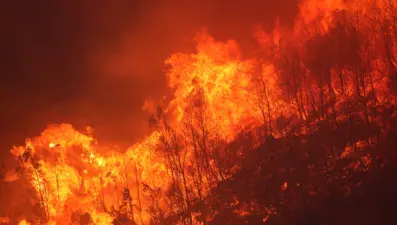 Datça'daki orman yangınıyla ilgili 1 kişi tutuklandı, 1 kişi gözaltında