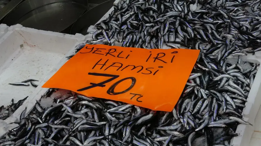 70 liraya düştü, yüz güldürdü: Tezgahtan alıp çiğ yediler 1