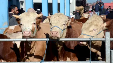 Kurban Bayramı takvimi 2025: Kurban Bayramı seneye ne zaman, ayın kaçında?