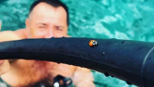 Ata Demirer'den uğurböceği paylaşımı Ata Demirer'den uğurböceği paylaşımı