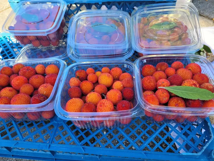 67 yaşında çalışmaktan vazgeçmiyor, paketini 70 liradan satıyor: Toplaması zahmetli ama tadı lezzetli 5