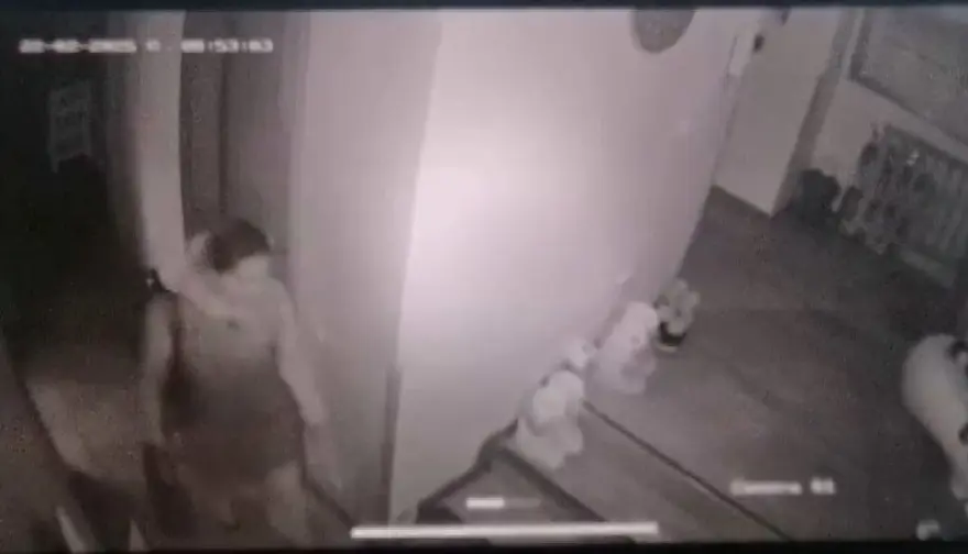 Sultan Vahdettin'in torununun evinden 11 milyonluk soygunun arkasından hizmetçi çıktı 2