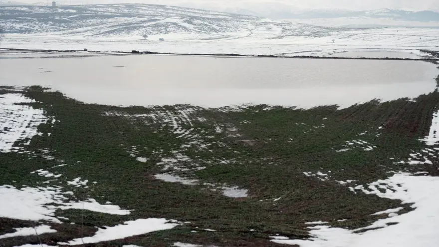 Konya Ovası'nda kuraklıktan sonra yeni sıkıntı 7